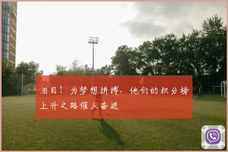 泪目！为梦想拼搏，他们的积分榜上升之路催人奋进