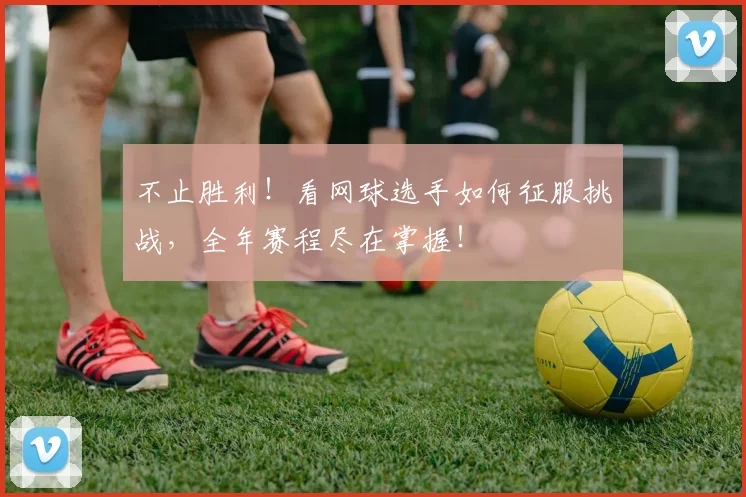 不止胜利！看网球选手如何征服挑战，全年赛程尽在掌握！
