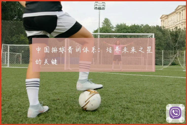 中国排球青训体系:培养未来之星的关键