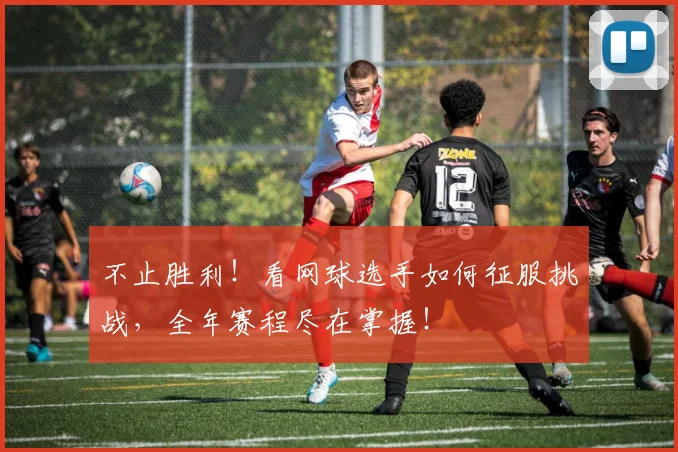 不止胜利！看网球选手如何征服挑战，全年赛程尽在掌握！